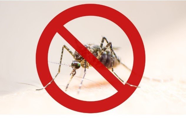 Prefeitura de Sidrolândia orienta população sobre diferenças entre dengue, chikungunya e Zika