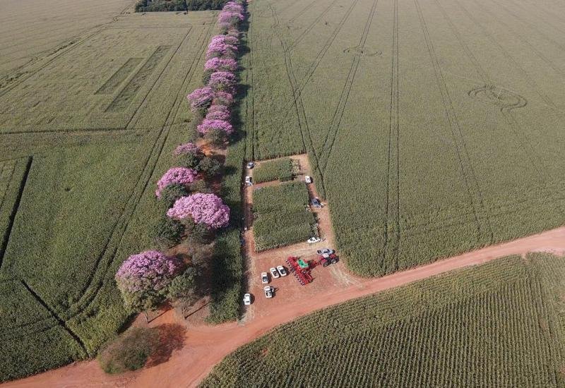 Reforma Tributária trará novos desafios e oportunidades para produtores de soja e milho de Mato Grosso do Sul