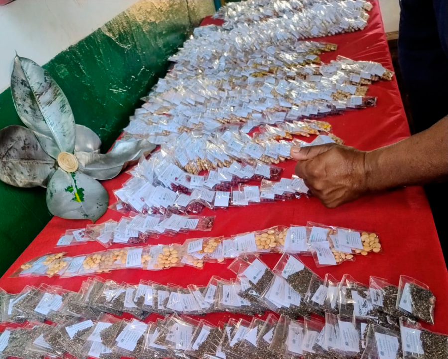 Feira de Sementes Crioulas chega à 9ª edição e convida comunidade para celebrar a cultura do campo